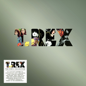 T. Rex - T.rex The Albums Collection - Bonus [disc 2] - Zortam Music