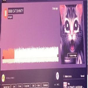 888cat divinity