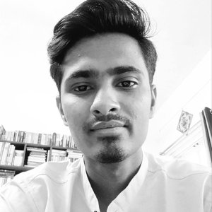 Avatar for Debajit Raikarmakar