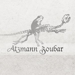 Atzmann Zoubar 的头像