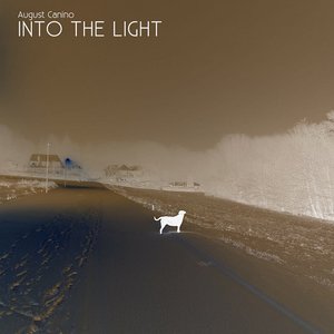 Into the Light - Single