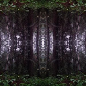 Stellaris