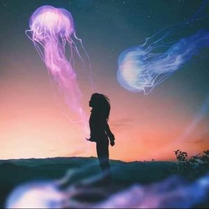Avatar for Feed your Soul