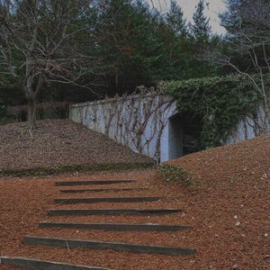 two steps too late - Single