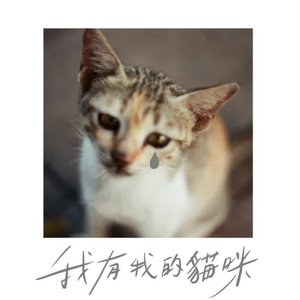 我有我的貓咪
