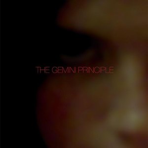 The Gemini Principle I