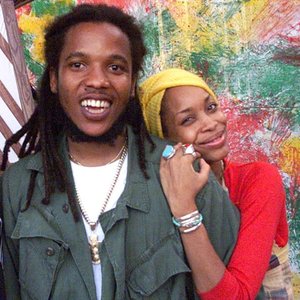 Erykah Badu, Stephen Marley 的头像