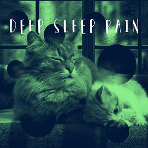 'Deep Sleep Rain' için resim