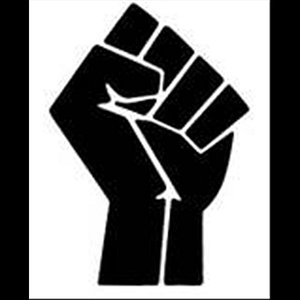 We The People! the 99% Occupy Wall Street Protest!