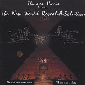 The New World Reveal-A-Solution