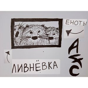 Еноты в ливнёвке