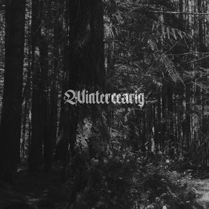 Wintercearig 的头像