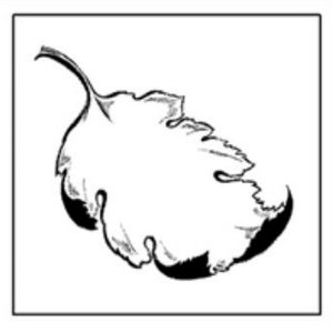 Avatar for The Gaia Project