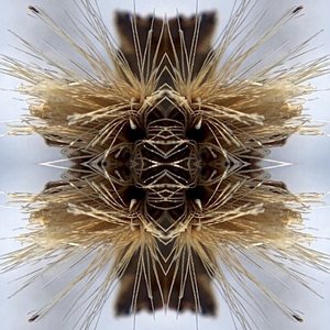 Psychic Malaise