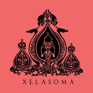 Xelasoma 的头像