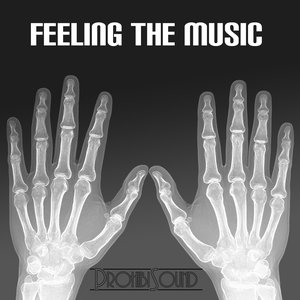 Feeling The Music