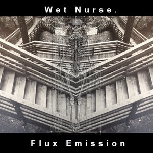 Flux Emission