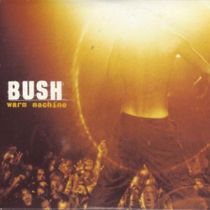 Bush - Warm Machine - Zortam Music