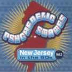 Psychedelic States: New Jersey In The 60s Vol.2