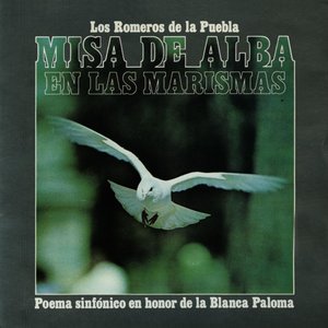 Misa De Alba En Las Marismas