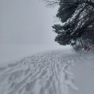 winter II - EP