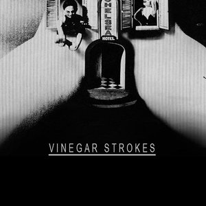 Vinegar Stroke 的头像