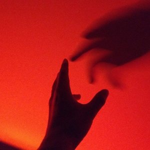 dontaskalex 的头像
