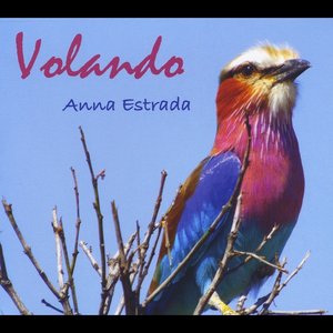 Volando