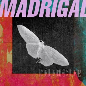Kelebekler - Single