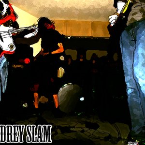 the audrey slam 的头像