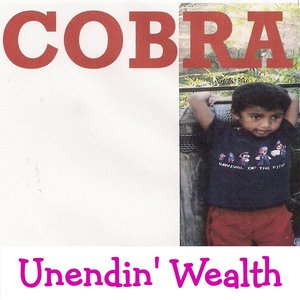 Unendin' Wealth