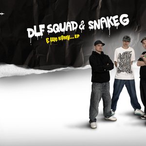 Avatar de DLF squad & Snake G