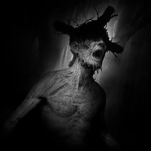 Darkwood (Original Game Soundtrack)