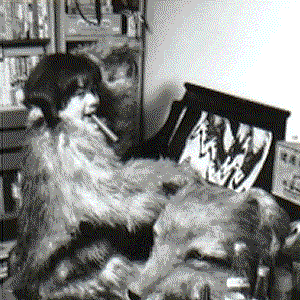 JON photo provided by Last.fm