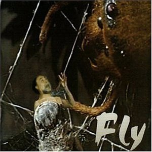 Fly