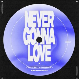 Never Gonna Love (goddard. Edit)