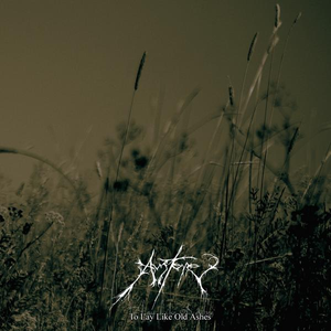 To Lay Like Old Ashes cover