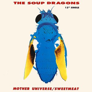Mother Universe / Sweetmeat