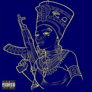 I'm Not a Dumb Nucca