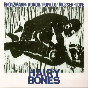 Image for 'Peter Brötzmann, Toshinori Kondo, Massimo Pupillo, Paal Nilssen-Love'