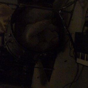 Got Matsui 的头像