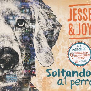 Soltando al perro (USA)
