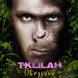 Обезьяны