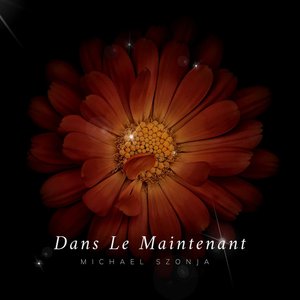 Dans Le Maintenant - Single