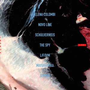 XLR8R+039 ( Curated by Elena Colombi and Osàre! Editions )