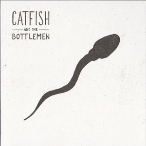 catfish and the bottlemen