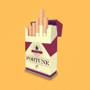 Fortune - Single