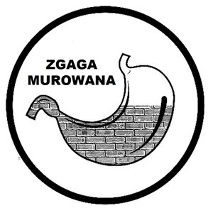 Zgaga Murowana 的头像