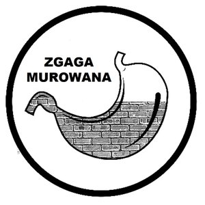 Awatar dla Zgaga Murowana