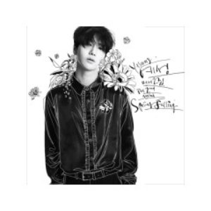 Spring Falling - The 2nd Mini Album - EP